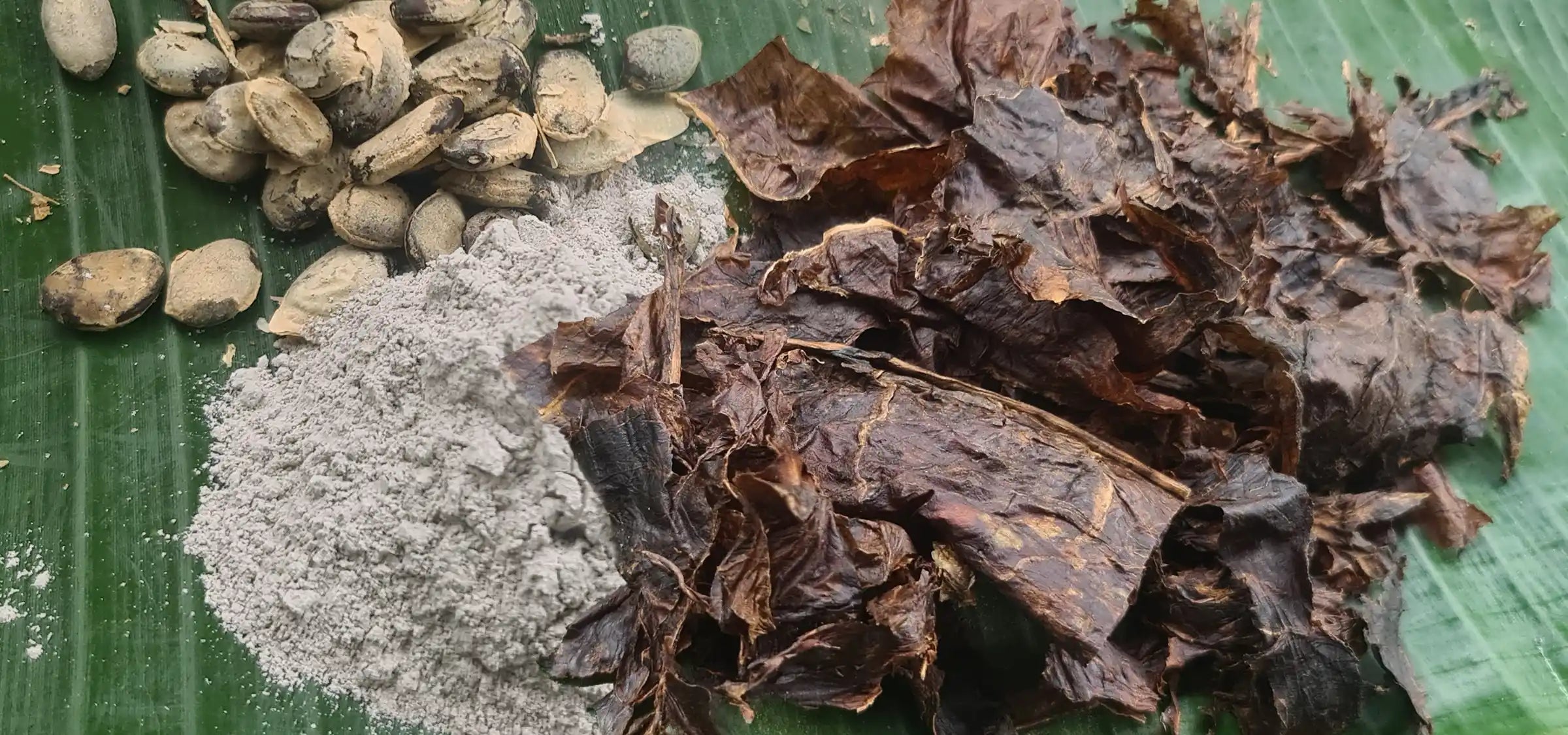 Sacred Hapé Medicine